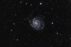 M101-el2021