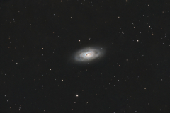 M64