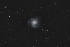 M74