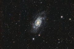 NGC 2403