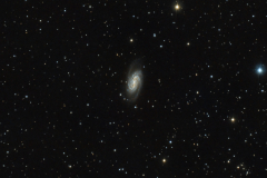 NGC2903-el2021