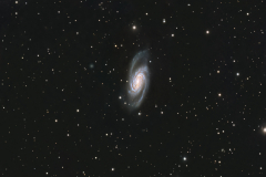 NGC 2903