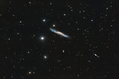 NGC 3079 - Q0957 + Q561