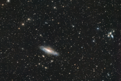 NGC 7331