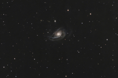 NGC 772