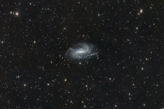 NGC 925