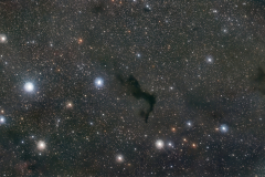 Barnard 174