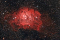 M8-2019-elab.14072021-present