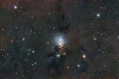 NGC 1333