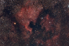 NGC 7000 - IC 5067 - IC 5070